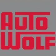 (c) Auto-wolf-ohg.de